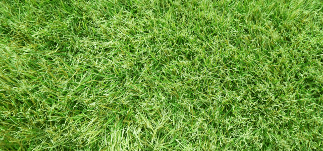 社長自らが施工